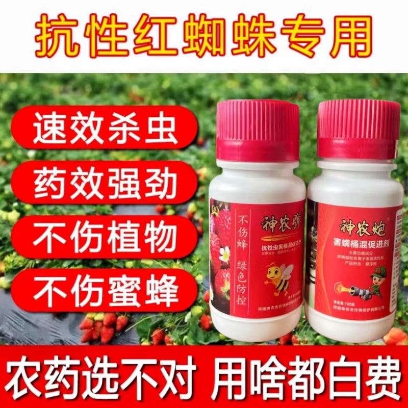 专打草莓抗性红蜘，黄蜘蛛，蓟马，卵磷脂+脂肪醇聚乙烯醚