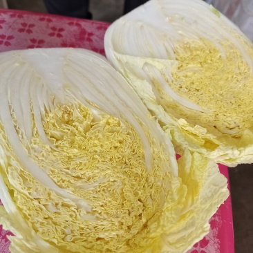 福建精品娃娃菜