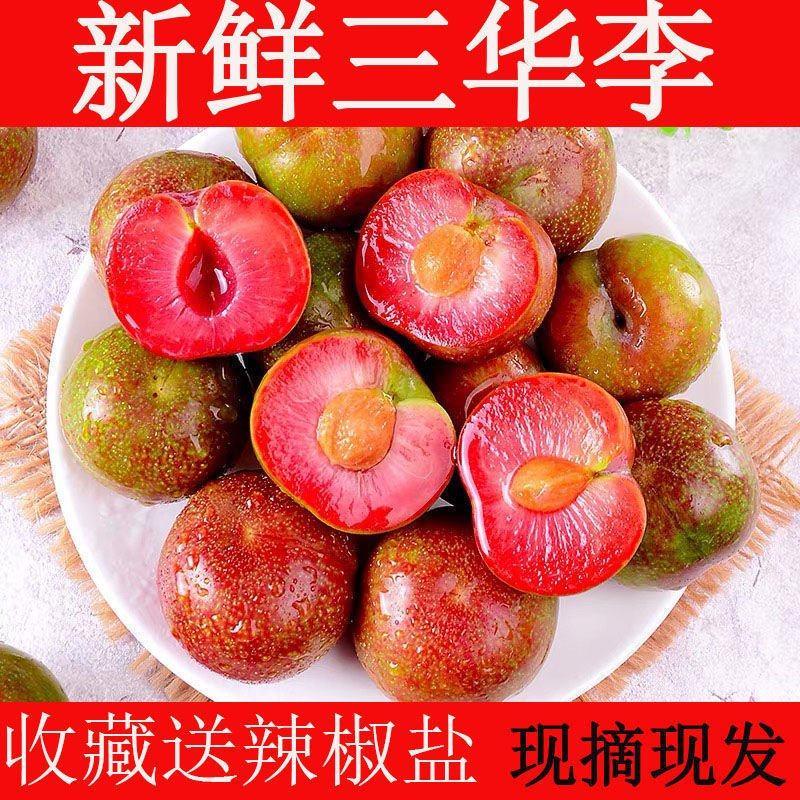 现货广东钱排红心三华李5斤李大果当季新鲜水果整箱包邮