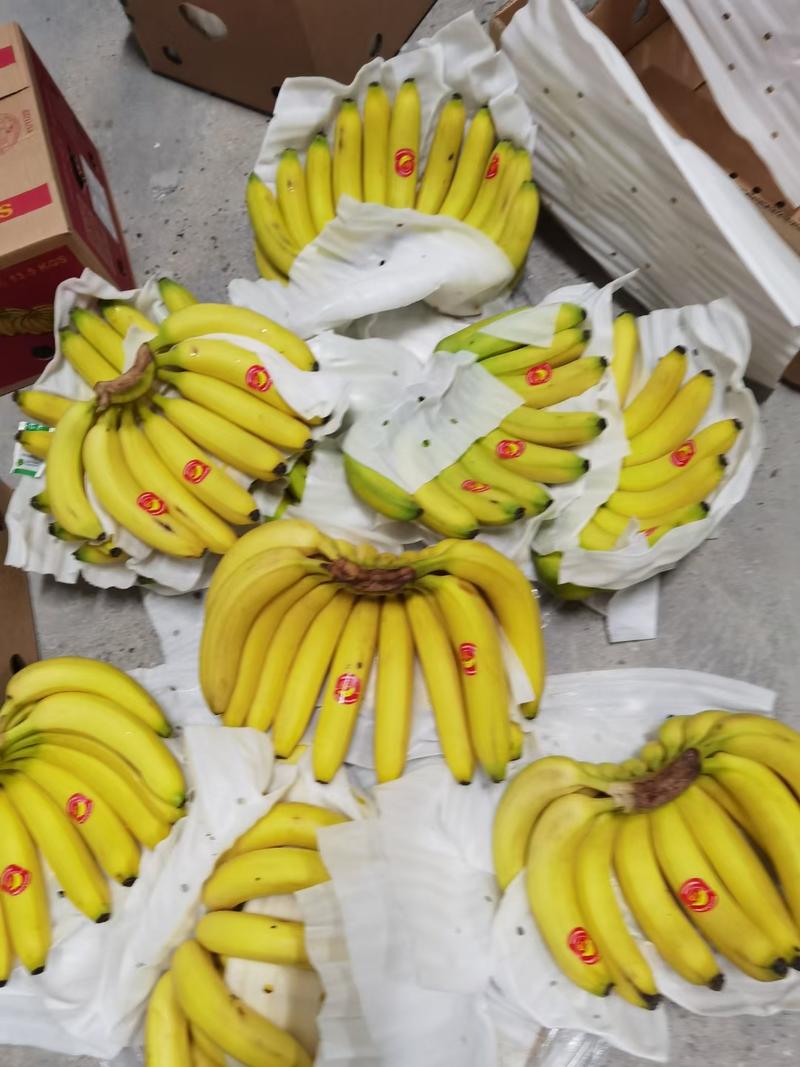 常年供货，菲律宾进口香蕉，规格4—5—6把.保质保量