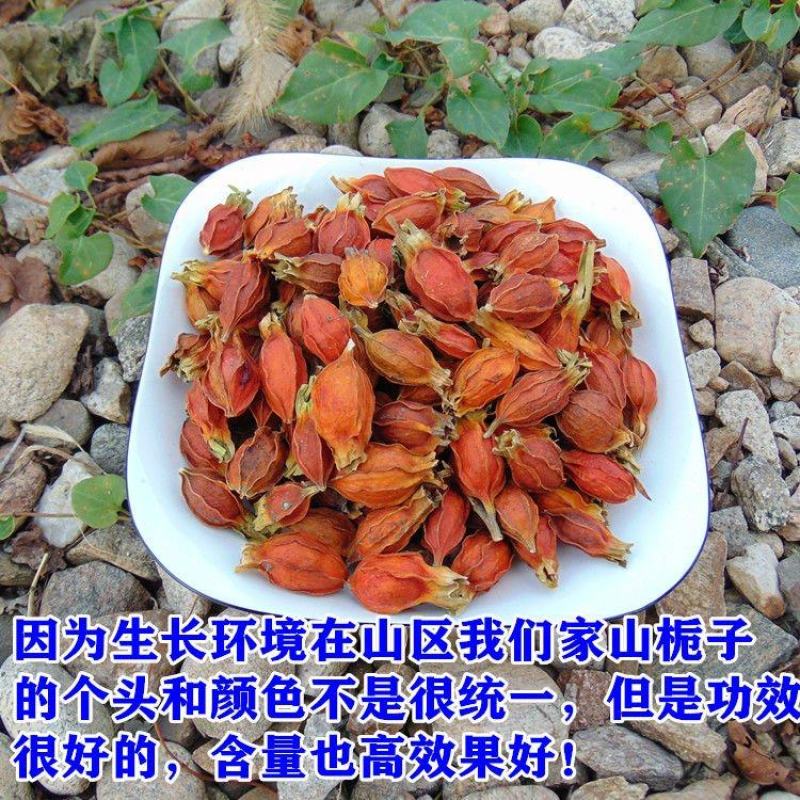 【山栀子】中药材山栀子枝子无硫山栀子多规格可选包邮