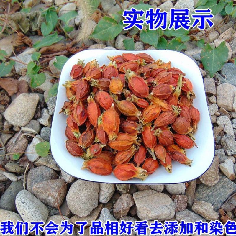 【山栀子】中药材山栀子枝子无硫山栀子多规格可选包邮