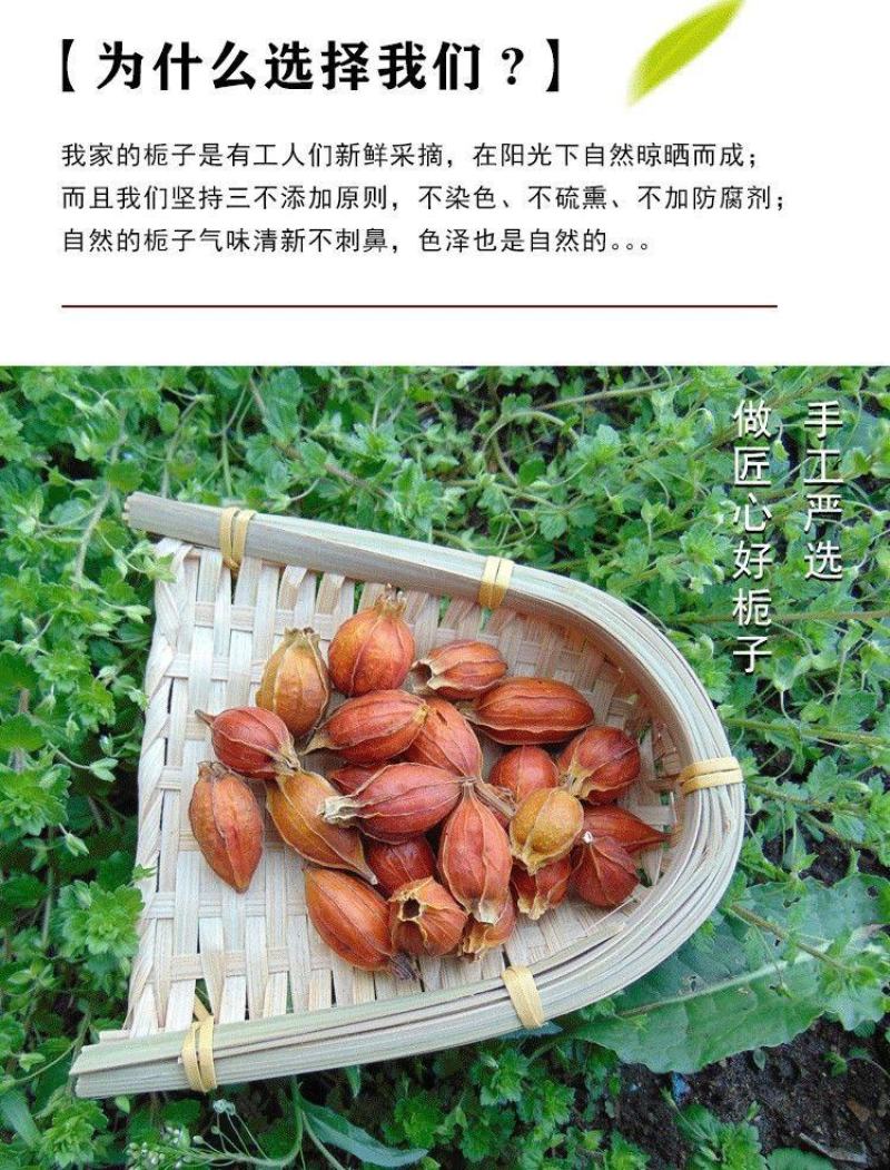 【山栀子】中药材山栀子枝子无硫山栀子多规格可选包邮