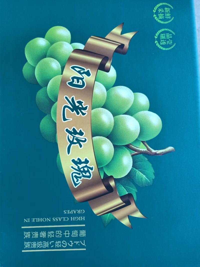 阳光玫瑰产地直供支持分拣全年供应对接各级市场