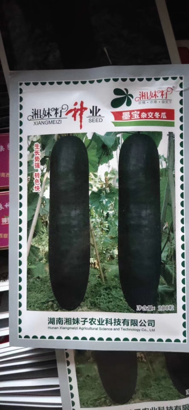 湘妹子，墨宝冬瓜种子，还有有种子，适合种植掉冬瓜，地冬瓜
