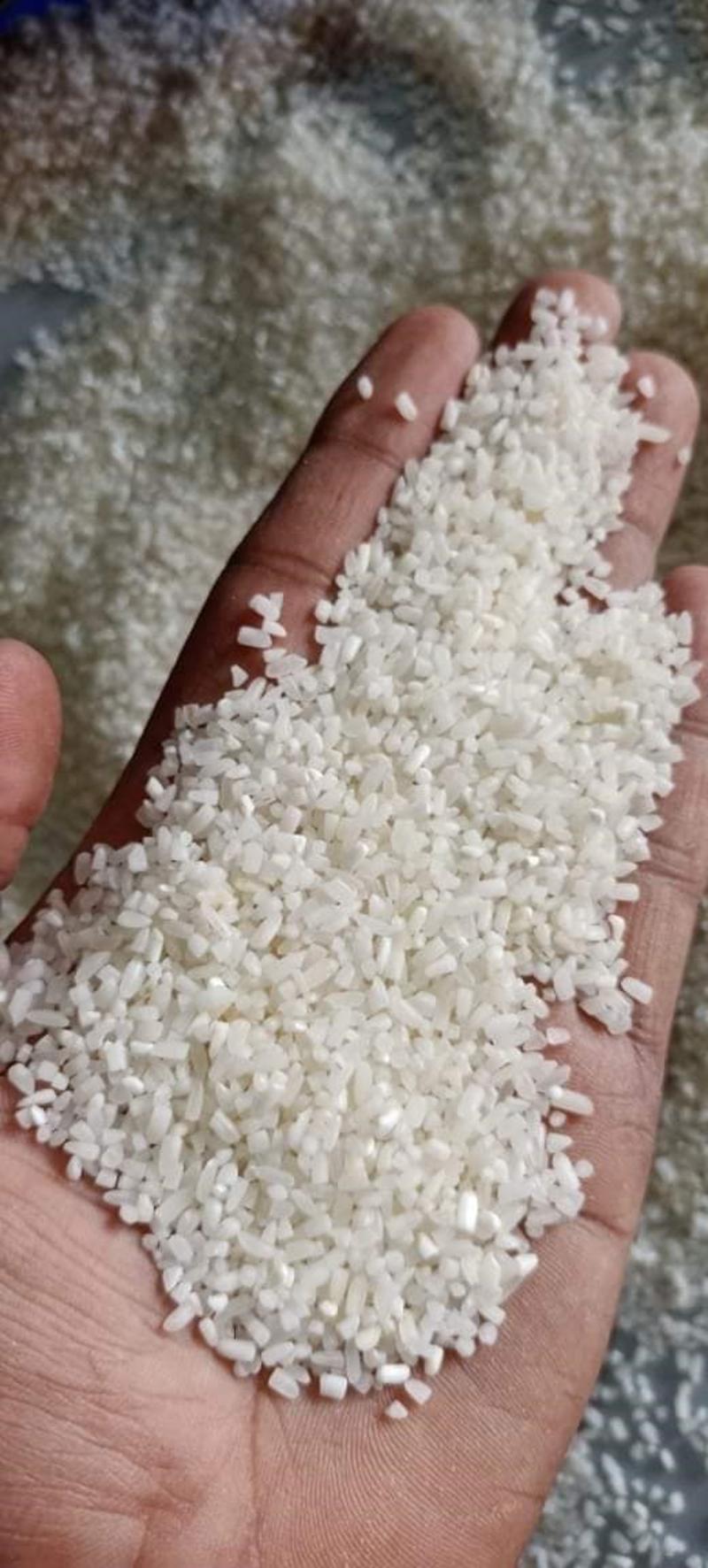 中碎米米线米粉卷粉剪粉河粉专用米白酒酿造米