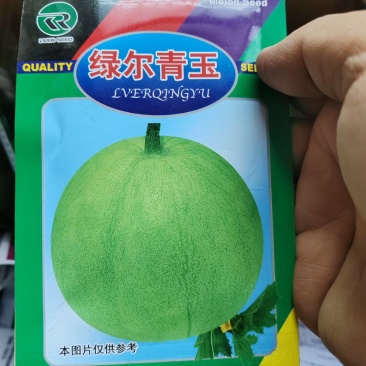 甜宝，甜瓜种子，供应中，地址湖北襄阳，高产，抗病甜瓜品种