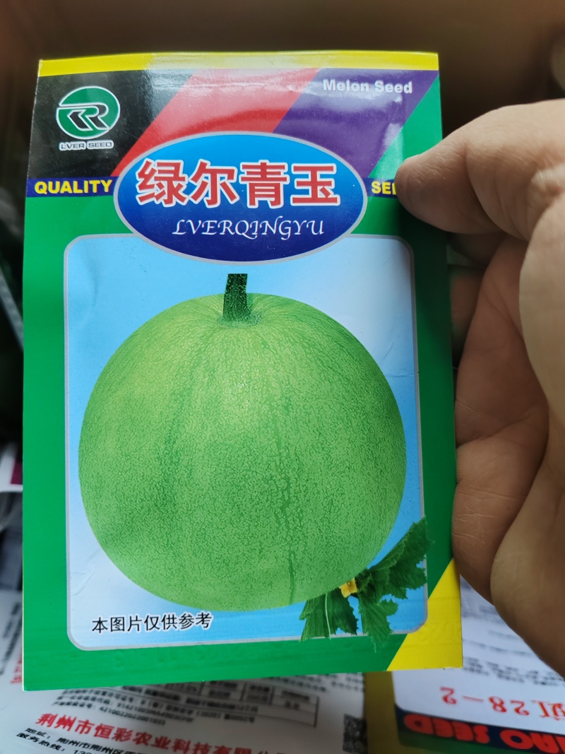 甜宝，甜瓜种子，供应中，地址湖北襄阳，高产，抗病甜瓜品种