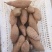 龙薯九，品质保证，价格优惠，诚信经营，产地直发