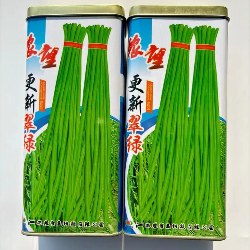 高产豇豆种子春秋绿宝翠绿色荚长顺直肉厚结荚多口感好长豆角