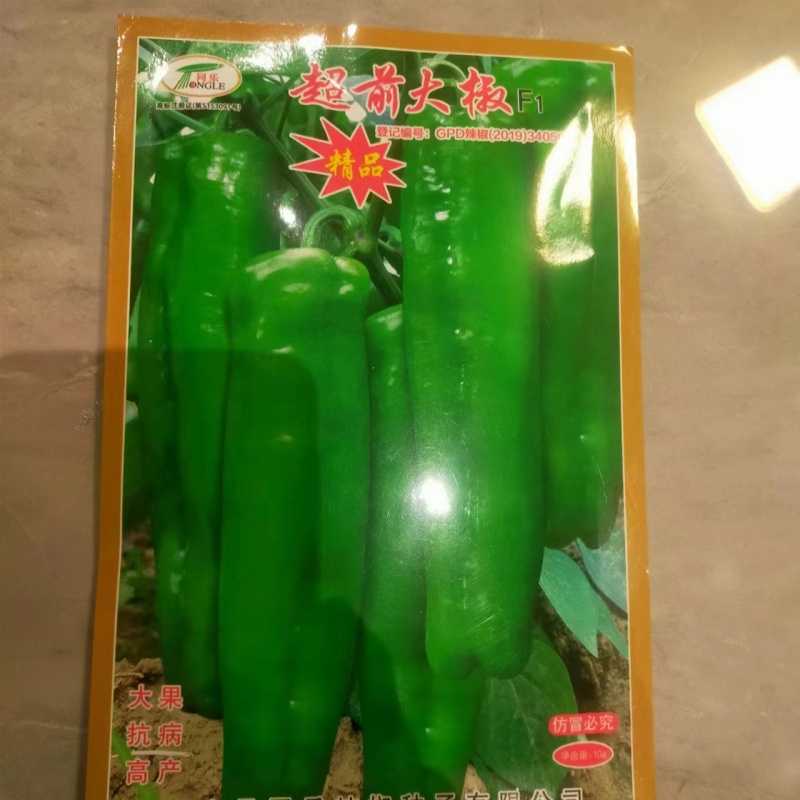 各种辣椒苗繁育基地承接全国各地订单！当天发货！保证成活率