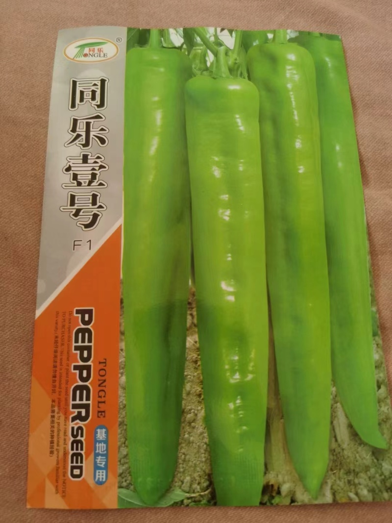 各种辣椒苗繁育基地承接全国各地订单！当天发货！保证成活率