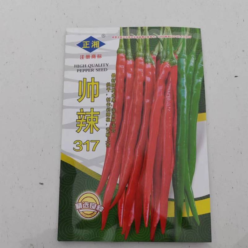 各种辣椒苗繁育基地承接全国各地订单！当天发货！保证成活率