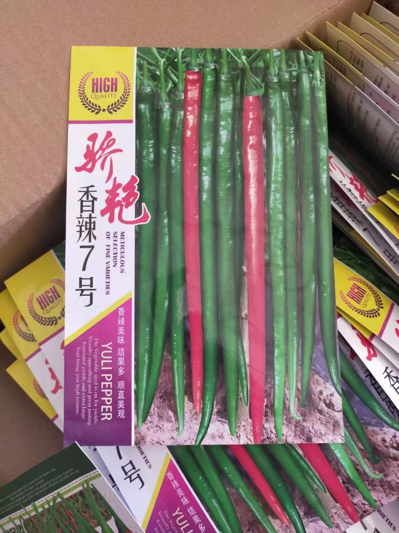 各种辣椒苗繁育基地承接全国各地订单！当天发货！保证成活率