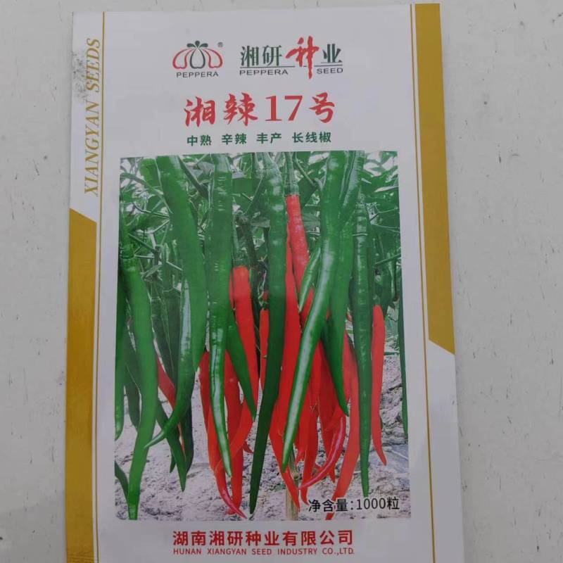 各种辣椒苗繁育基地承接全国各地订单！当天发货！保证成活率