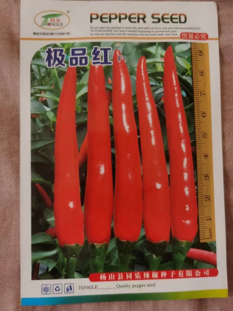 各种辣椒苗繁育基地承接全国各地订单！当天发货！保证成活率
