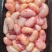 新鲜鸡腰子