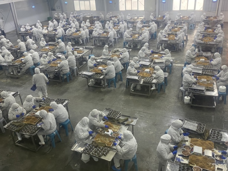 黑米粽粽子