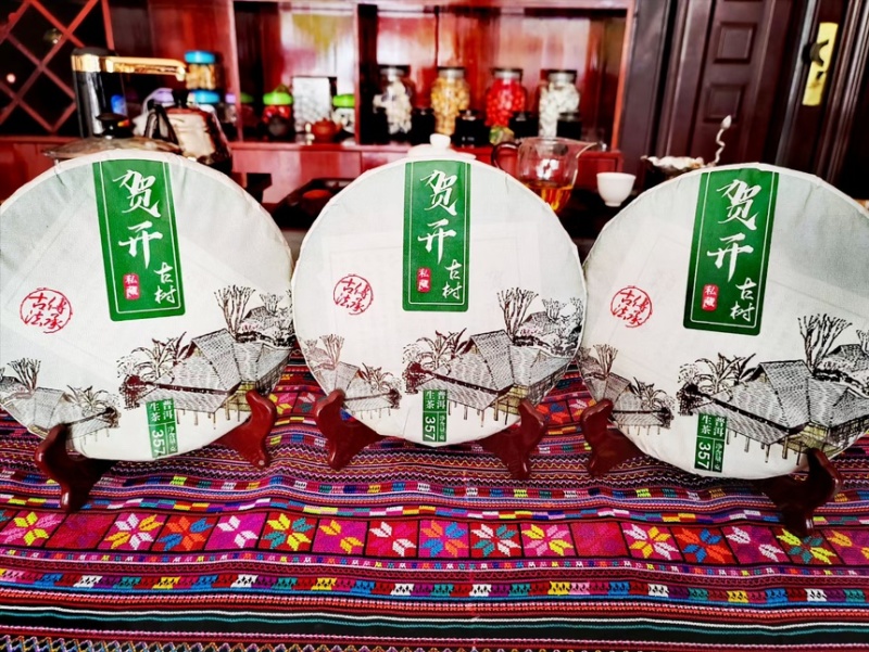 勐海贺开古树