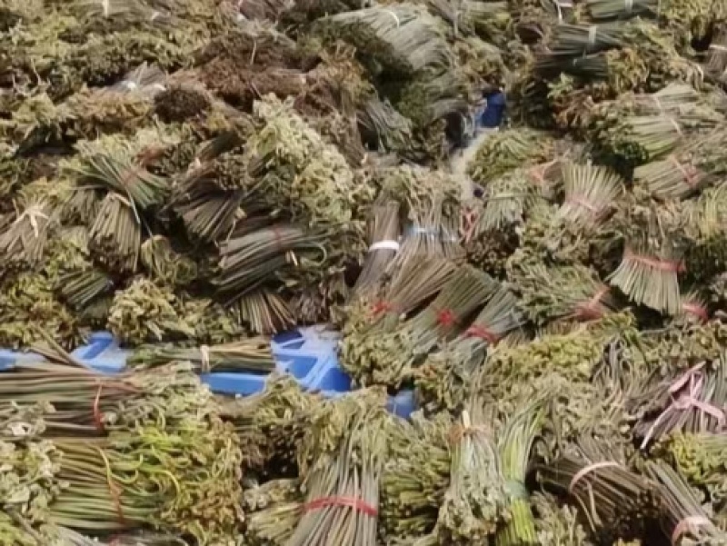 山上的味道美味的佳肴