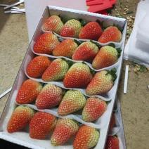 夏季草莓
