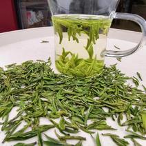 茶龙井玉叶2024年新茶，明前茶
