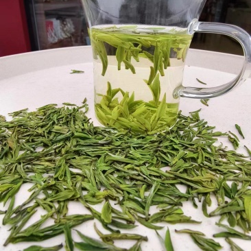 茶龙井茶玉叶2024年新茶，明前茶欢迎各大老板采购