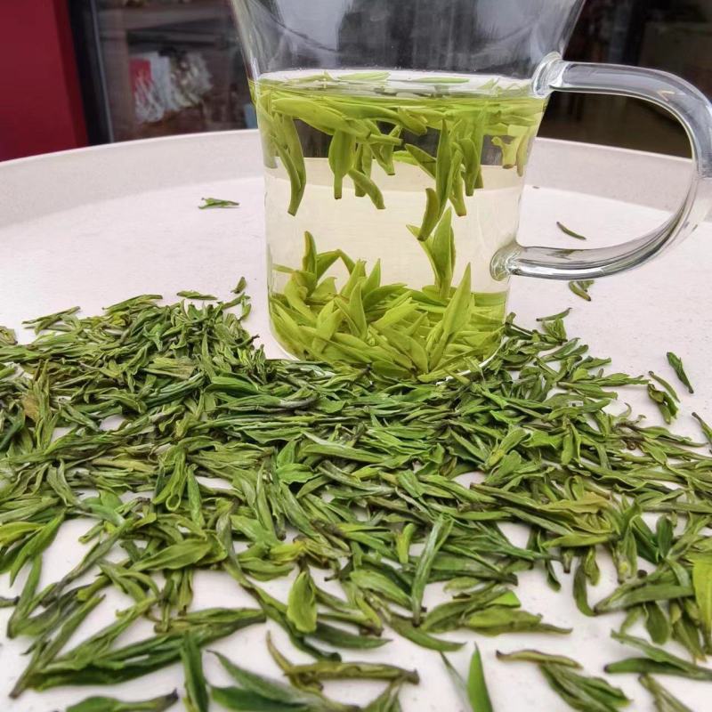 茶龙井茶玉叶2024年新茶，明前茶欢迎各大老板采购