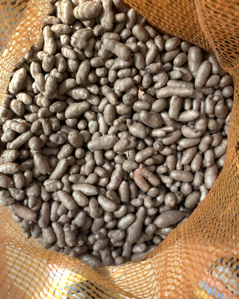 小白嘴山药豆育苗豆0.8-1.2每斤0.8元，