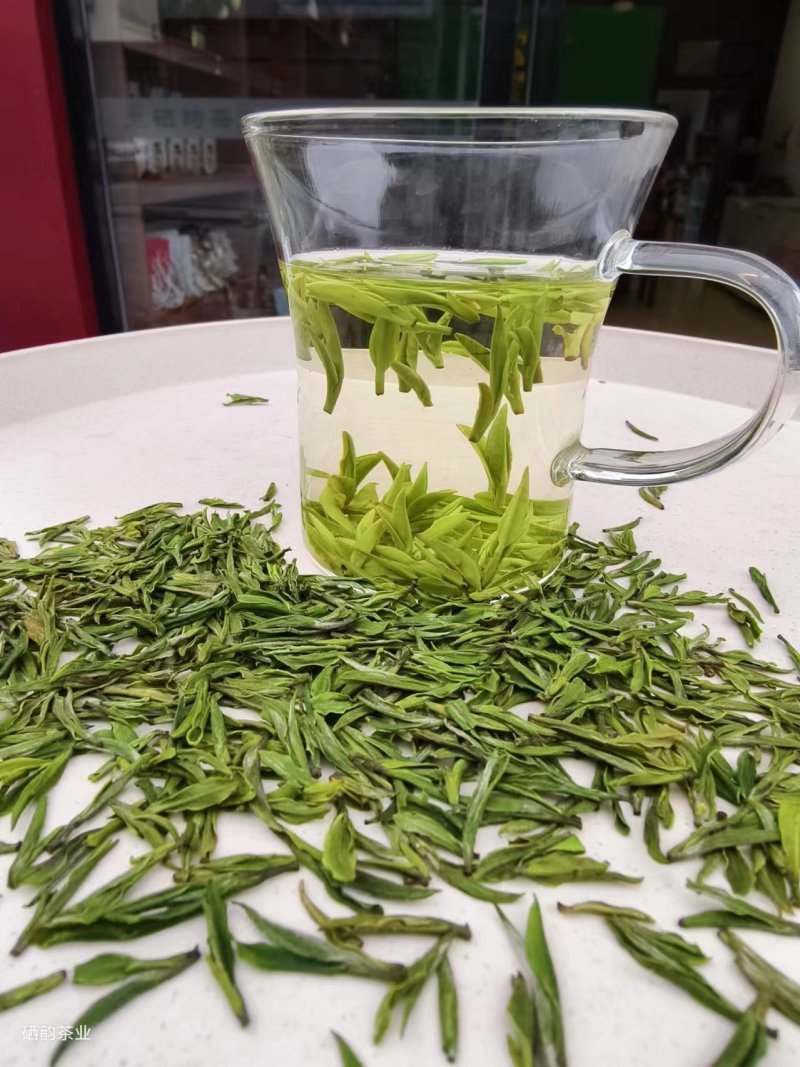 茶龙井茶玉叶2024年新茶，明前茶欢迎各大老板采购