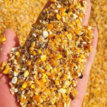 碎玉米，玉米碎，玉米下脚料，玉米漏，养殖玉米