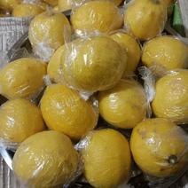 四川安岳柠檬大量供应，新鲜采摘，量大从优产地直发各种规格