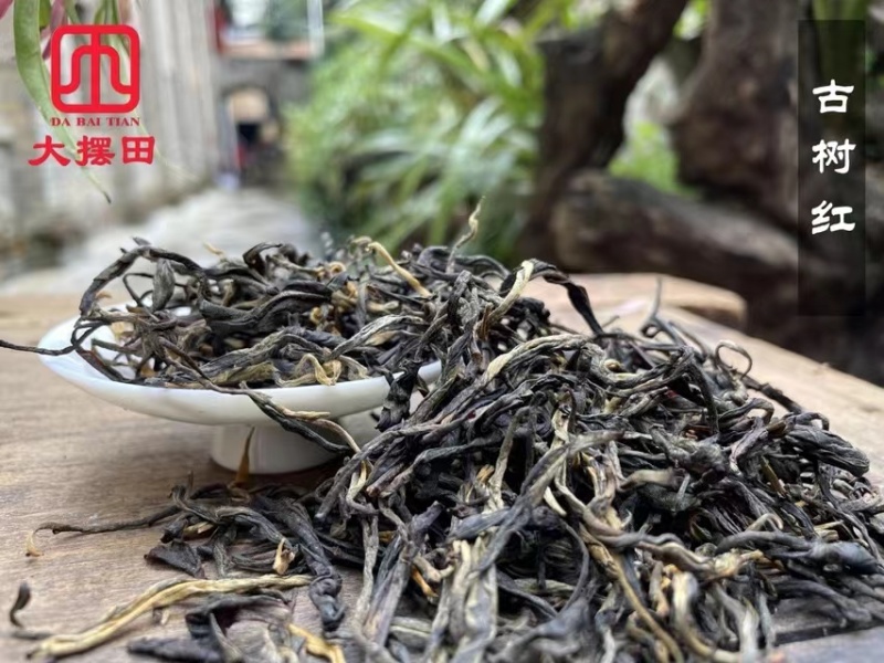 凤庆大叶种滇红茶