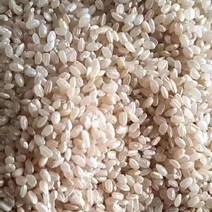黑龙江圆粒糙米，加工出来珍珠来