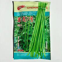 翠亮7号豇豆真正翠亮长豆角种籽高产耐热耐湿特长绿豆角种