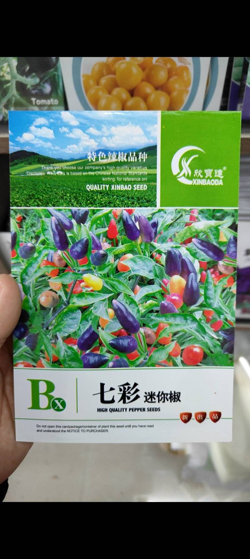 七彩小米辣种子易种植好成活挂果多颜色靓丽美观香辣味浓郁