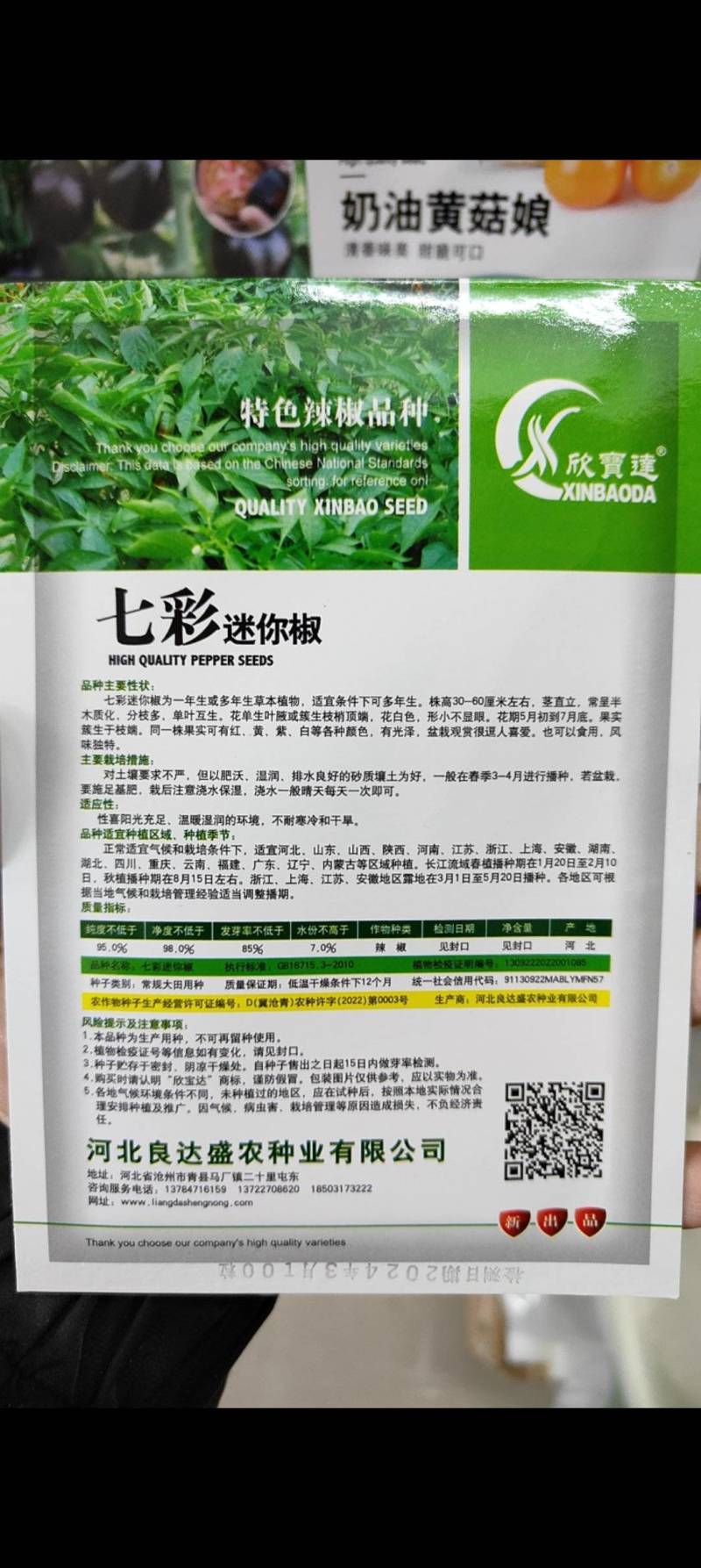 七彩小米辣种子易种植好成活挂果多颜色靓丽美观香辣味浓郁