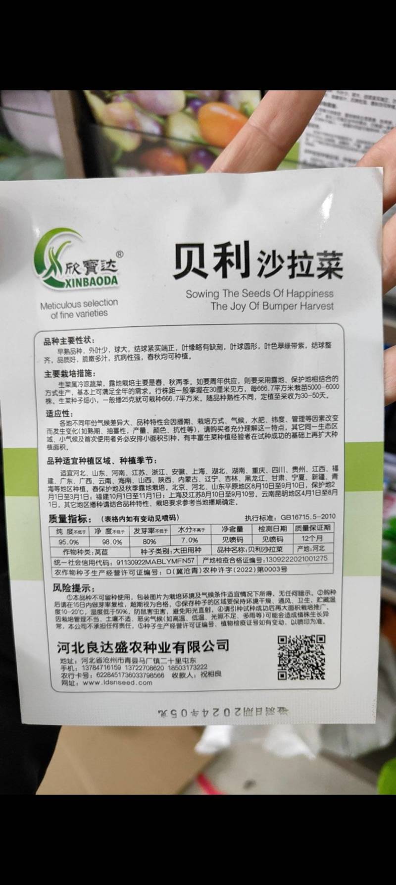 高品质紫色结球生菜种子口感好结球圆富含维生素等