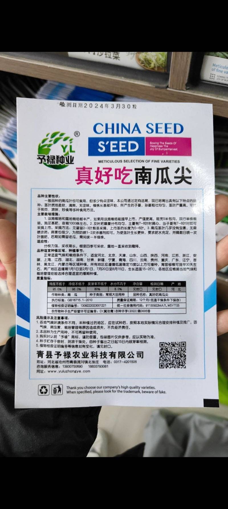 南瓜尖种子口感香嫩脆爽可以多次采收产量高口感好
