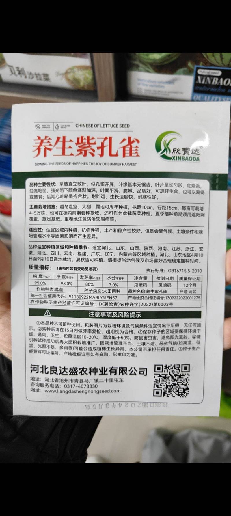 紫色孔雀菜种子特色产品沙拉菜四季种植口感好叶片肥厚