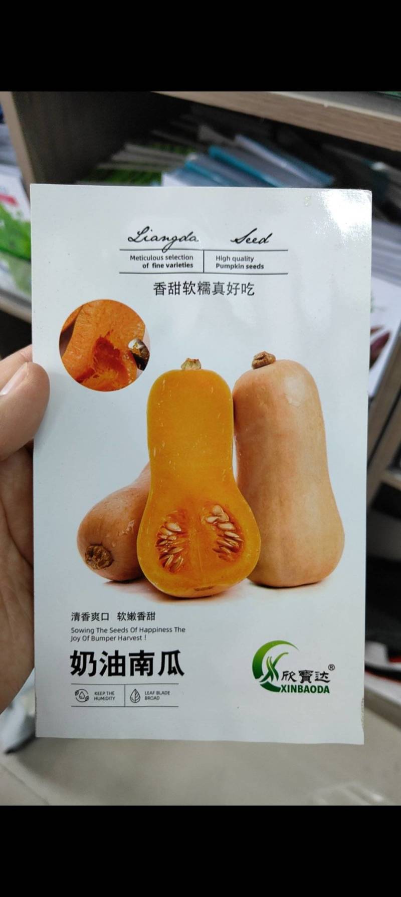 奶油南瓜种子清香爽口软嫩香甜香甜软糯口感好易坐果产量高
