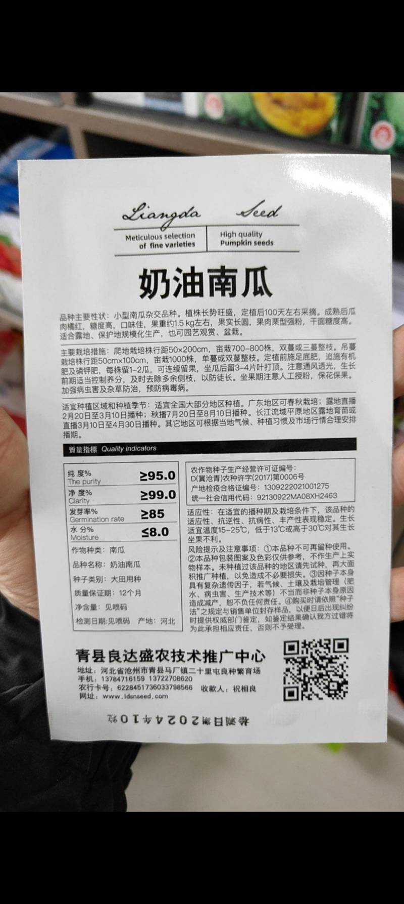 奶油南瓜种子清香爽口软嫩香甜香甜软糯口感好易坐果产量高
