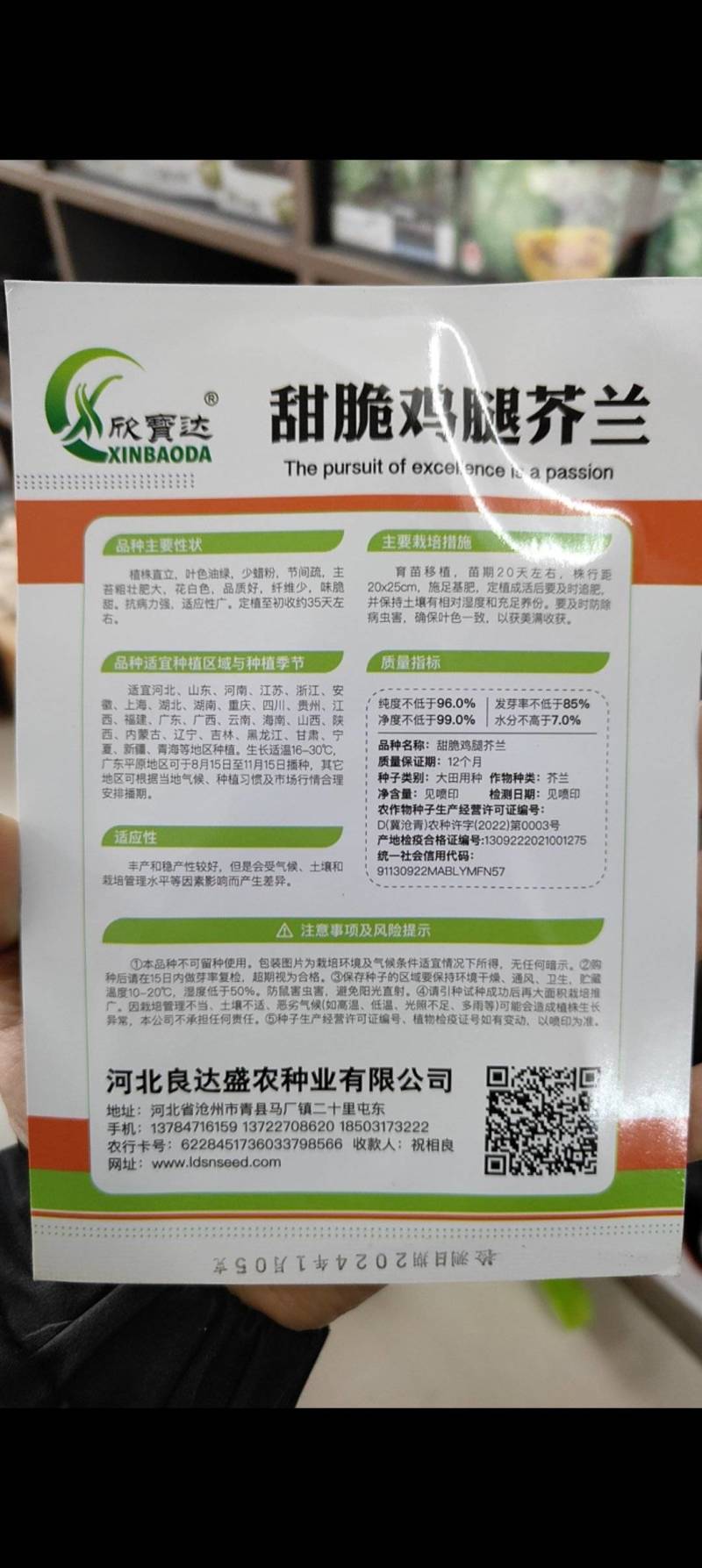 鸡腿芥兰种子抗病能力强产量高口感脆嫩爽可以多次采收