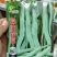 蛇豆种子蛇瓜长度长香味浓郁肉质厚口感好条形顺直耐储运