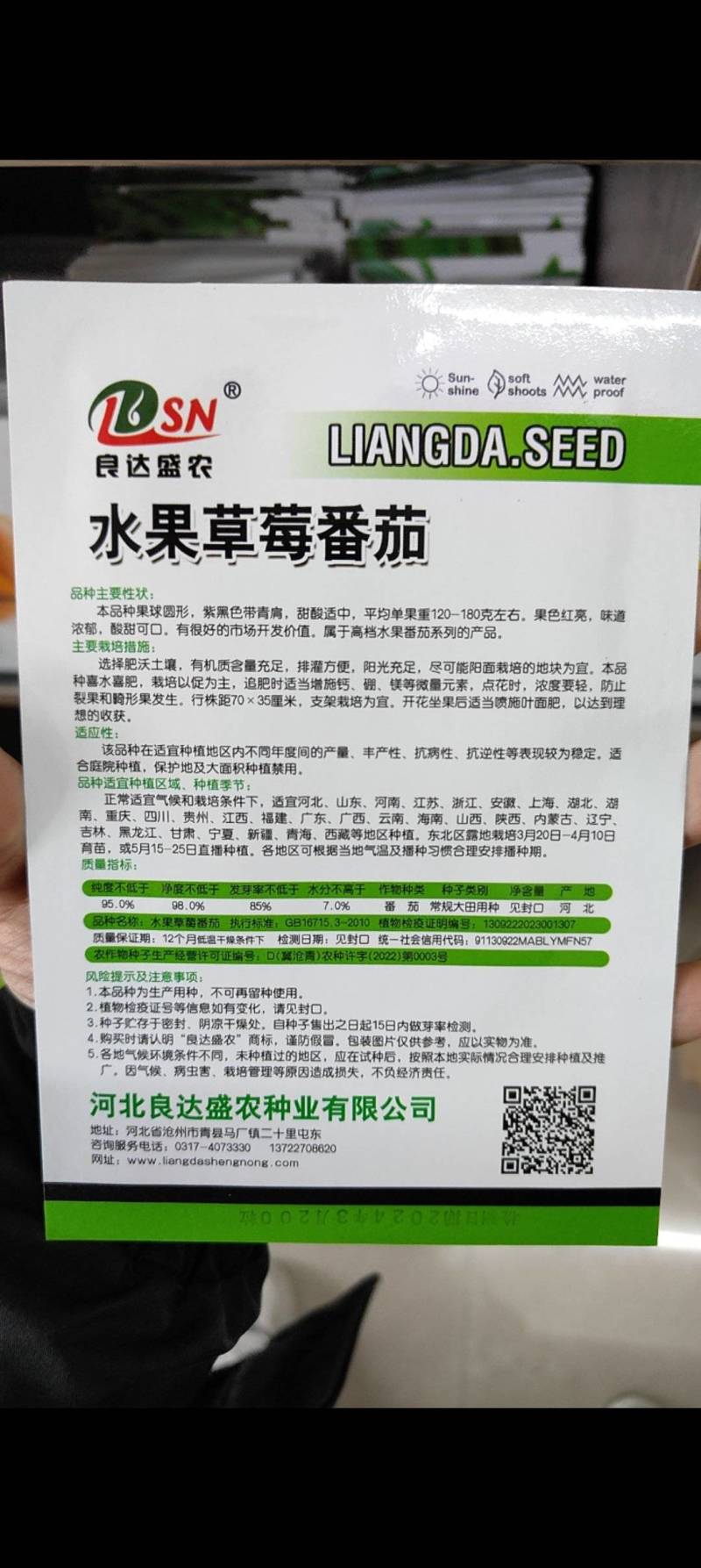 水果番茄种子口感细腻甜嫩多汁绿肩番茄品质好耐储运