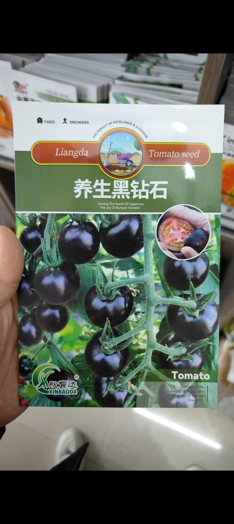 养生黑钻石黑番茄种子口感甜度高12口味独特味美