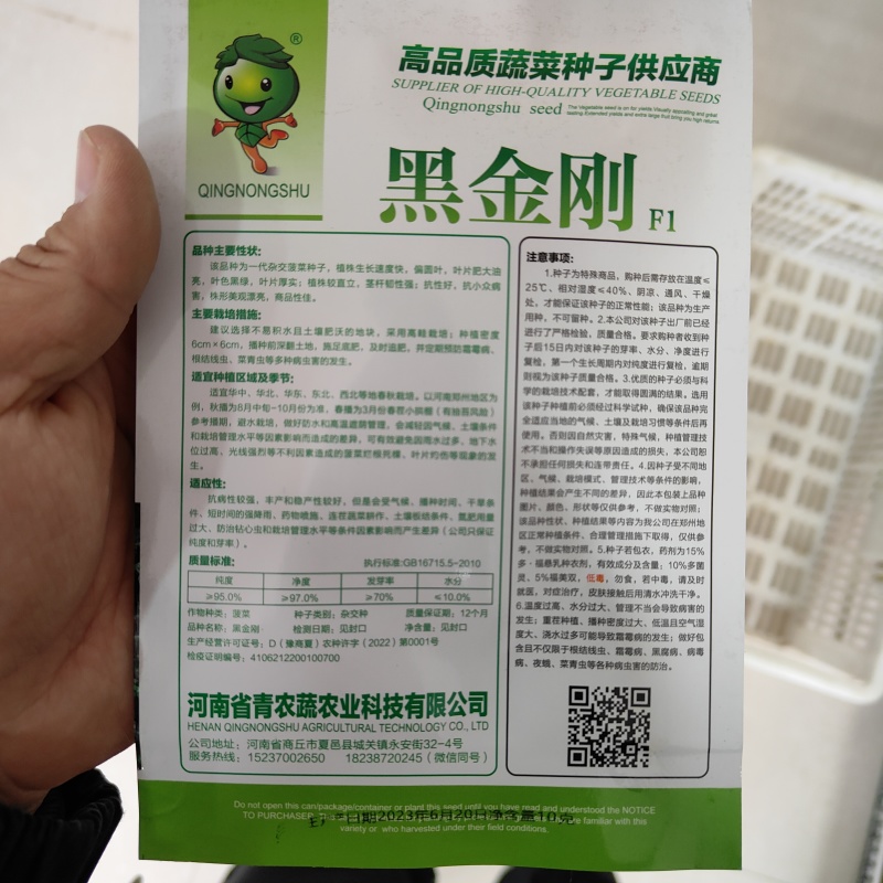 250克装半直大黑圆叶耐寒菠菜种叶片厚实高抗霜霉病品质好