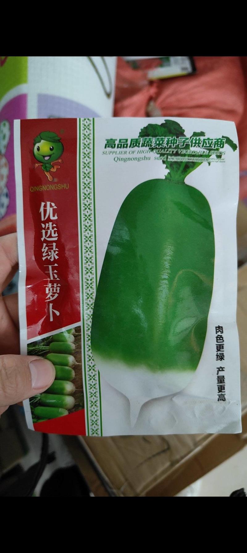 杂交萝卜绿玉绿翡翠萝卜种子质量好绿皮绿肉个头发抗性好