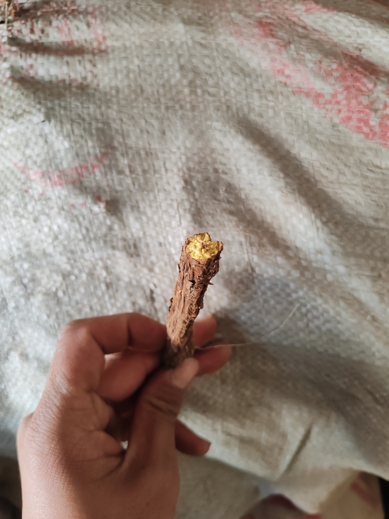 黄芩山西产地干货家种黄芩批发零售产地直发