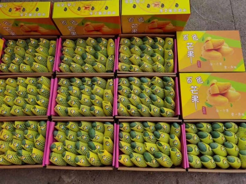 广西金煌芒一件代发社区团购电商平台对接欢迎电联